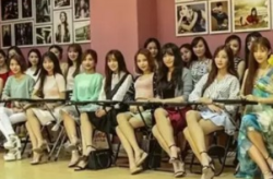 网红概恋,网络时代的社交新宠与商业新风口